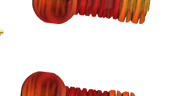 LOGO NAGACC